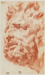 Tête de Laocoon