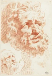 Deux têtes barbues