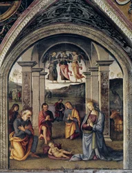 La Nativité. Fresque de Pietro Vannucci dit il Perugino