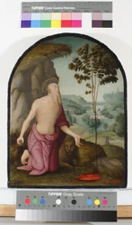Saint Jérôme dans le désert, vers 1510-15
