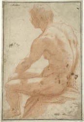 Étude de modèle d