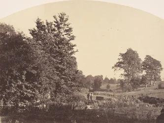 Le ruisseau forestier