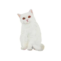 British Shorthair White, 2014 (aquarelle et gouache sur papier)