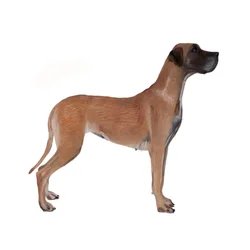 Dogue allemand, 2011 (aquarelle et gouache sur papier)