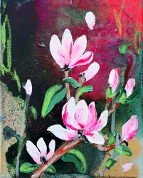 Fleurs de magnolia roses