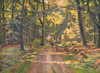 Chemin forestier près de Dyrnæs