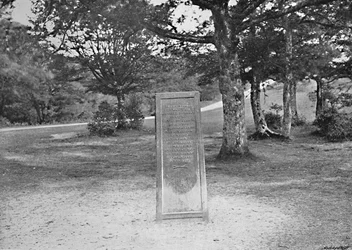Rufus Stone, New Forest, vers 1896