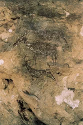 Art rupestre mésolithique : Cerfs et chèvres (8000-7000 av. J.-C.), Espagne, Bicorp, Grotte de La Araña