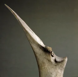 Préhistoire, culture de Polada : pointes en os provenant de la tourbière de Polada, Lonato. Âge du bronze. Rome, Museo Nazionale Preistorico Etnografico Luigi Pigorini