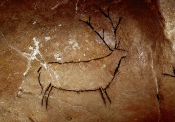 Préhistoire : « un cerf » peinture rupestre du Paléolithique supérieur (Magdalénien) (entre 16500 et 14000 ans). Grotte de Las Chimeneas, Monte Castillo, Espagne