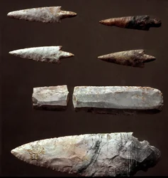 Préhistoire : pointes de flèches et silex provenant de la nécropole de Cantalupo-Mandela (Cantalupo Mandela), Latium. Âge du cuivre. Énéolithique. 2200 av. J.-C. Rome, Musée national préhistorique et ethnographique Luigi Pigorini