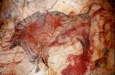 Préhistoire : « bison au repos » peinture rupestre du Paléolithique supérieur (Magdalénien) (entre 16500 et 14000 ans). Grotte du Bison, Altamira, Santander, Espagne