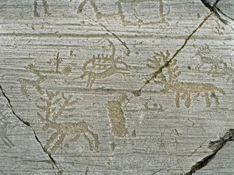 Préhistoire, civilisation des Camunni, art rupestre : roche funéraire représentant des cerfs. Période comprise entre le Néolithique et l