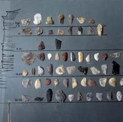 Préhistoire, culture pontinienne : pierres et silex (production lithique) provenant de la grotte de Moscerini, Latium. Âge de la pierre. Paléolithique supérieur. Rome, Museo Nazionale Preistorico Etnografico Luigi Pigorini