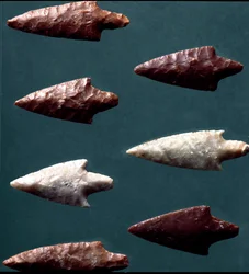 Préhistoire, culture de Rinaldone (Montefiascone) : flèches provenant de la nécropole de Rinaldone. Âge du cuivre. Énéolithique. 2200 av. J.-C. Rome, Musée national préhistorique et ethnographique Luigi Pigorini