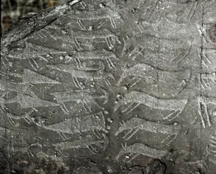 Préhistoire, art rupestre : roche gravée représentant des poignards et des bœufs. Âge du cuivre. Période énéolithique (chalcolithique). Roche no 1. Cemmo (Brescia), parc archéologique national des blocs de Cemmo, Italie