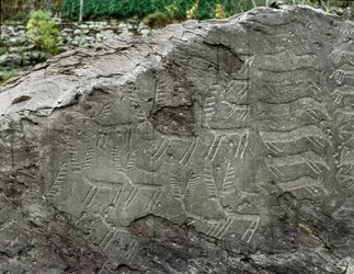 Préhistoire, art rupestre : roche funéraire portant des représentations de cerfs et de bovins. Âge du cuivre. Période énéolithique (chalcolithique). Roche no 1. Cemmo (Brescia), Parco Archeologico Nazionale dei Massi di Cemmo, Italie
