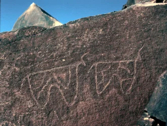 Préhistoire, art rupestre : roche funéraire de la représentation de bovins. Style Tazina