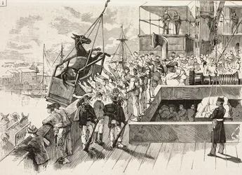 Une mule est hissée sur le navire Principe Amedeo, expédition italienne en mer Rouge, Italie, gravure d