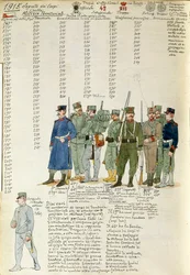 Uniformes des corps de milice territoriale du Royaume d