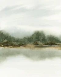 Reflet dans la forêt brumeuse