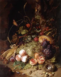 Nature morte aux fruits et aux insectes