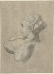 Étude de la tête et de l