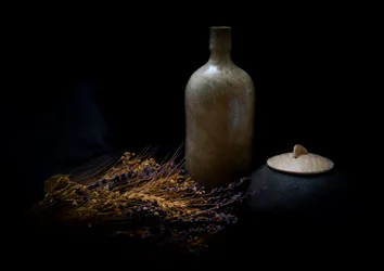 Nature morte botanique sereine