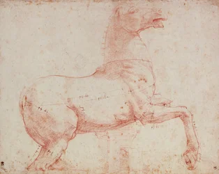 Étude pour le cheval de marbre du Quirinal