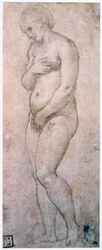 Étude de Vénus, vers 1500-1520