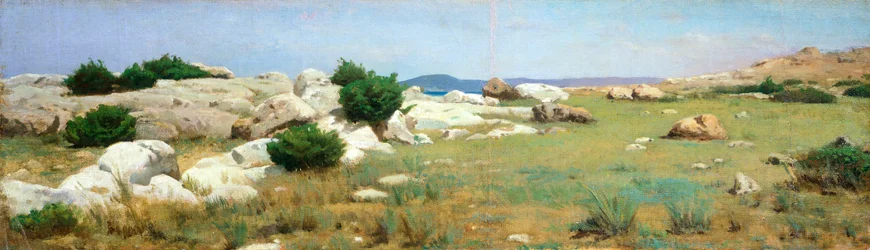 Falaise à Castiglioncello