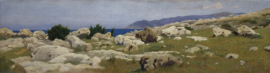Vue de Punta del Romito depuis Castiglioncello