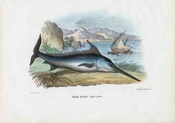 Espadon, 1863-79