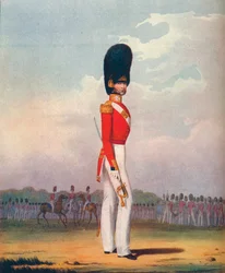 Officier, Grenadier Guards, 19e siècle