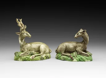 Biche et cerf