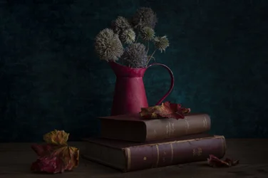Livres d