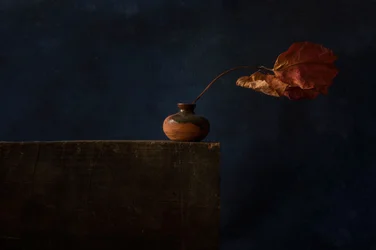 Nature morte automnale sombre