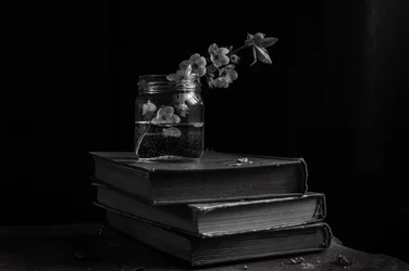 Fleurs mélancoliques sur des livres