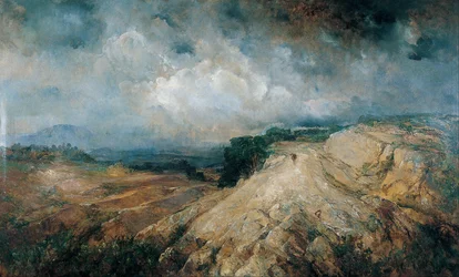 Paysage rocheux