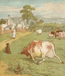 La maison que Jack a construite, comptine cumulative. La vache avec la corne froissée qui a jeté le chien... Illustration de Randolph Caldecott