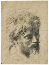 « Portrait de jeune apôtre » (Tête de jeune apôtre) Charbon sur papier de Raphaël (Raffaello Sanzio) (1483-1520) Collection privée