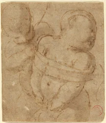 Cupidon Lié