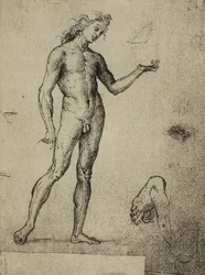 Étude de nu masculin, dessin de Raphaël. Gallerie dell
