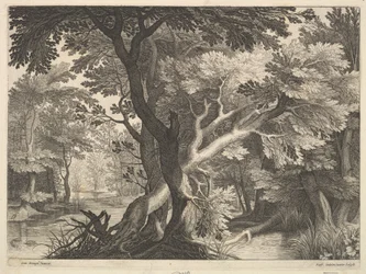 Paysage boisé