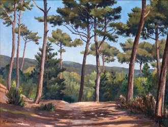 Sur la dune au Canon