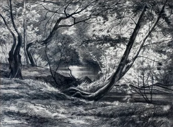 Sous-bois avec rivière (charbon de bois)
