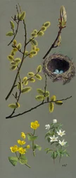 Études de printemps (huile sur papier)