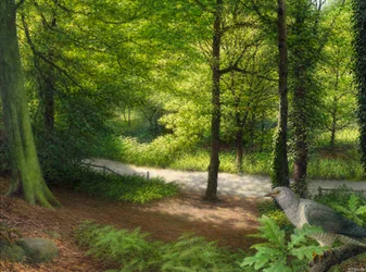 Bois avec colombes