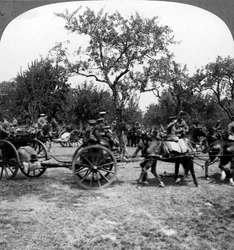 Artillerie tirée par des chevaux, Première Guerre mondiale
