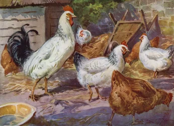 Illustration pour Ma Ferme